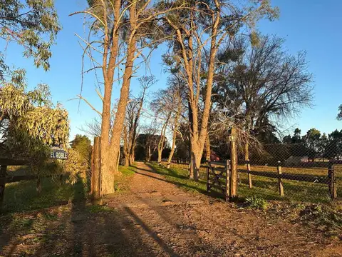 Chacra con casas y caballerizas en Parada Robles