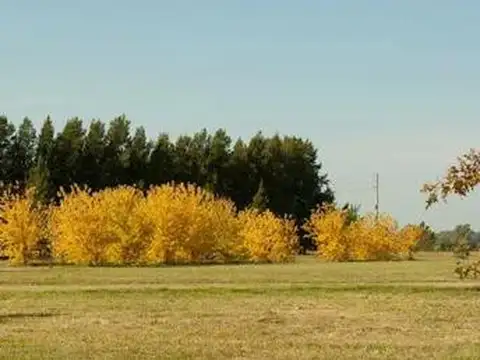 Terreno en Venta en Marcos Paz, USD 20.000