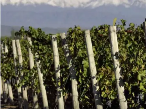 Terreno en Venta de 600,0 m2