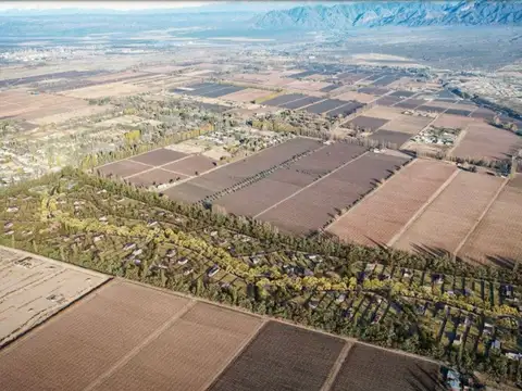 Terreno en Venta de 600,0 m2