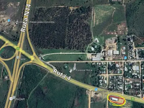 24 hectáreas + Galpón