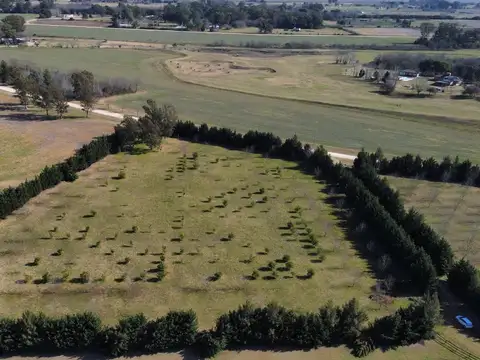 Terreno en Venta de 7955,0 m2