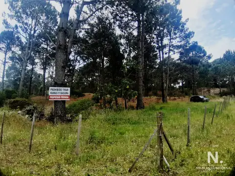 Terreno en Venta en Punta Ballena, USD 125.000
