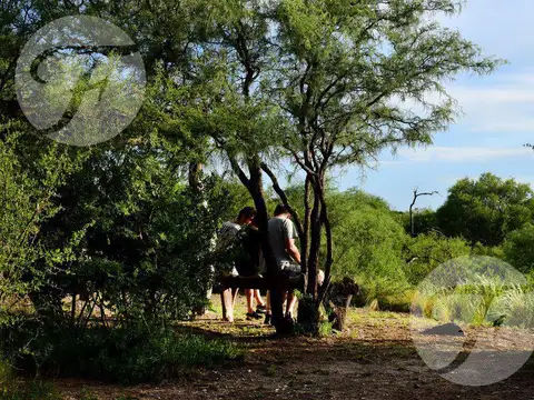 Ruta Provincial 14 al 100