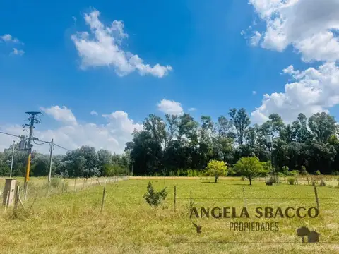 Las Torcazas, Altos De Robles.