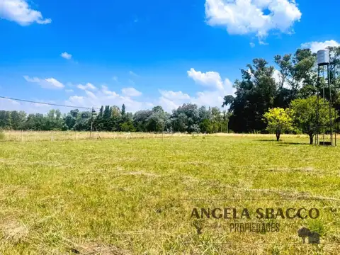 Hermoso Terreno en Altos de Robles.