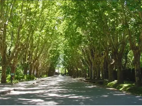 Highland Park Cc Lote 500