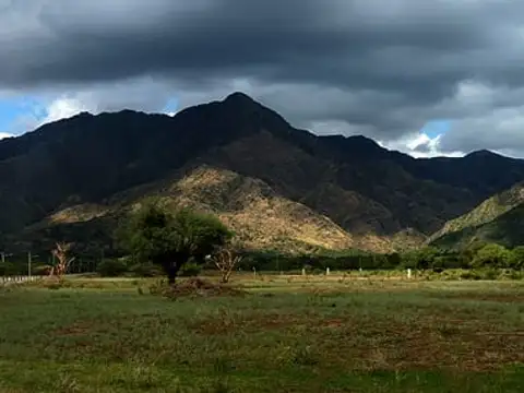 OPORTUNIDAD IMPERDIBLE  50 HECATREAS EN LAS SIERRAS DE SAN LUIS , SUBASTA A MITAD DE PRECIO!