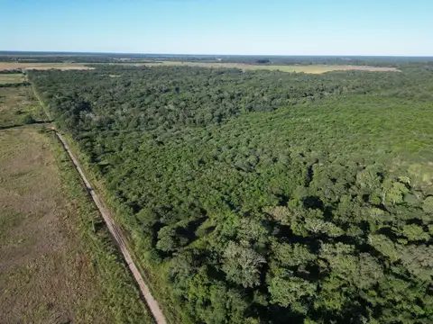 51 hectáreas en La Verde