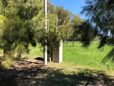 Lote interno 2438 m2 Campos de Roca II