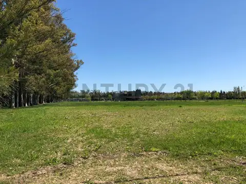 Ruta 2, km65 , Piso 0