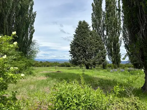 Terreno en Venta de 1245,0 m2