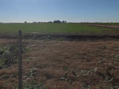 EN VENTA 91 HECTAREAS MIXTAS  "TRES SARGENTOS" Bs As