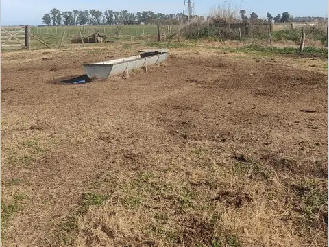 Campo en Venta de 91  ha