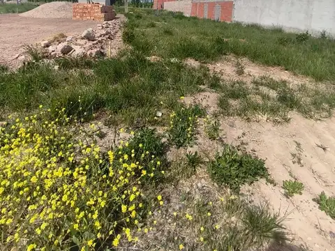 Terreno en Venta en General Roca, USD 8.500