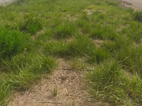 Terreno en Venta de 250,0 m2