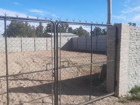 Consultar dirección