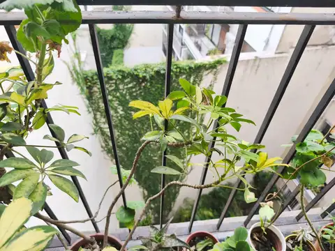 Alquiler. Recoleta.  Departamento de 4 ambientes con dependencias.