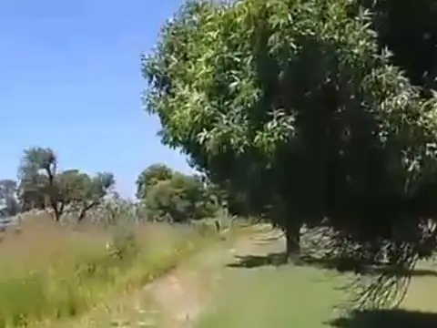 Campo en Granadero Baigorria