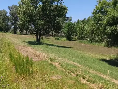 Campo en Granadero Baigorria