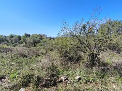 Terreno en Venta de 560,0 m2