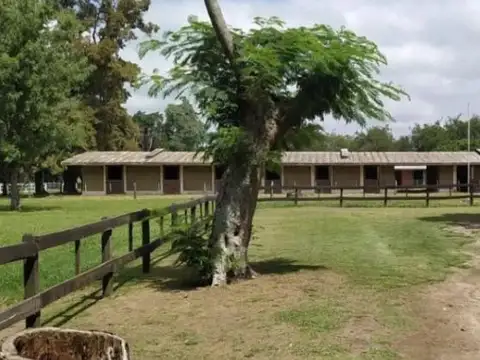 Haras El Malacate Lote 134 Exaltación de la Cruz