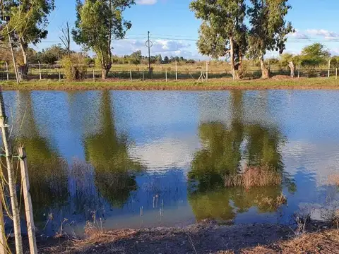 Terreno en Venta de 550,0 m2