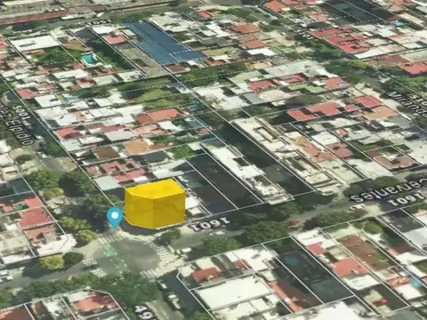 ELPIDIO GONZALEZ 5000