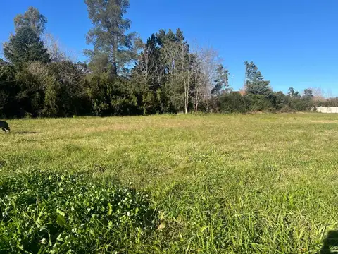 Terreno en Venta en Virrey Del Pino, USD 27.000