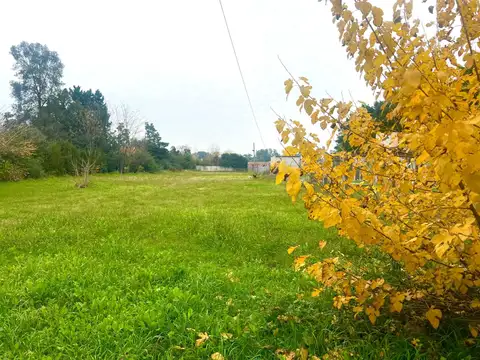 Terreno en Venta de 630,0 m2