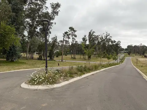 Av. Al Paso de la Cadena - Ruben Dario - La Cañada 'H2