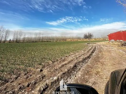 OPENHOUSE VENDE fabulosa finca en Tunuyán