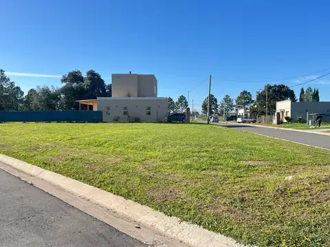 DOMINGO NAZARRE 4400