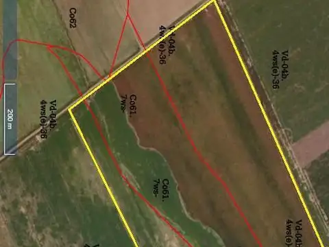 Venta Campo  Pueblo Muñoz