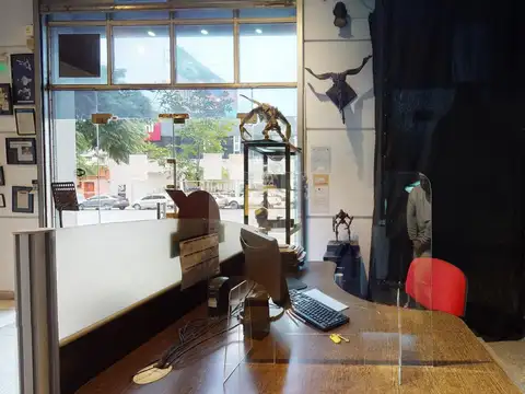 Avenida Estado de Israel al 4100