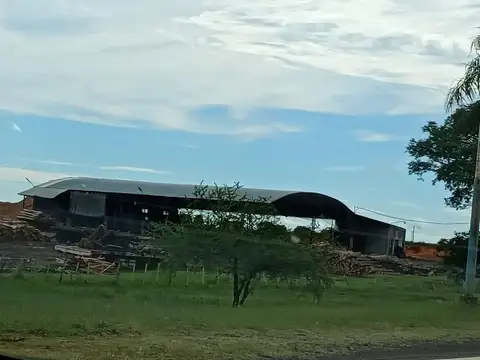 Campo potencial de forestación - Ituzaingó- Corrientes- Argentina
