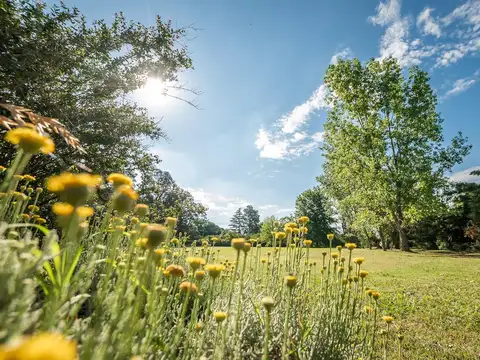 Venta casa quinta 1 hectárea