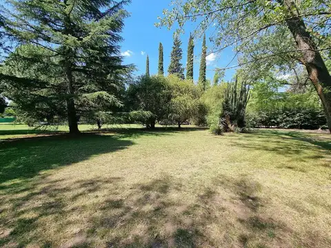 Barrio Los Pinos - Exaltación de la Cruz