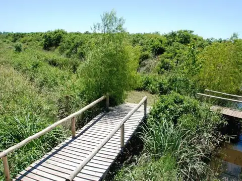 Lote al Rio en Delta Tigre