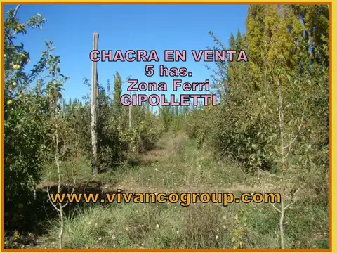 PROVINCIA DE SAN LUIS 4000