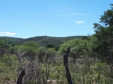 Terreno en Venta de 1551,0 m2