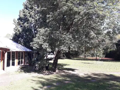 Avenida Congreso 2000