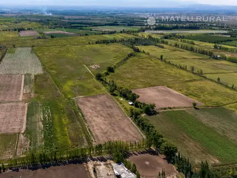 73 Has. Finca inculta en Tunuyan