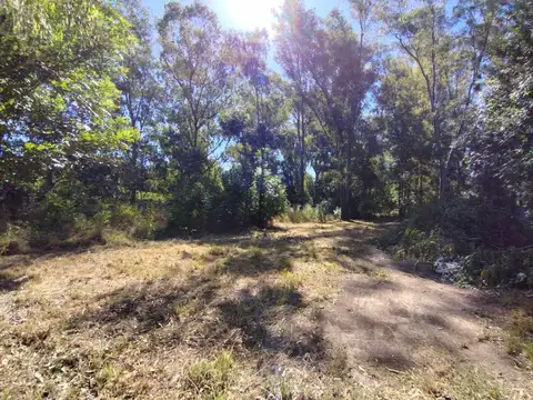 Calle 532 entre 635 y 636 3500