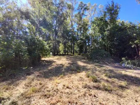 Terreno en Venta en Centro Agricola El Pato, USD 24.000