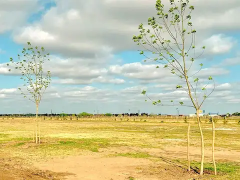 Lote Vida club de campo