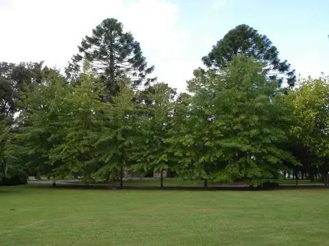 Terreno en Venta en Lisandro Olmos Etcheverry, USD 44.000