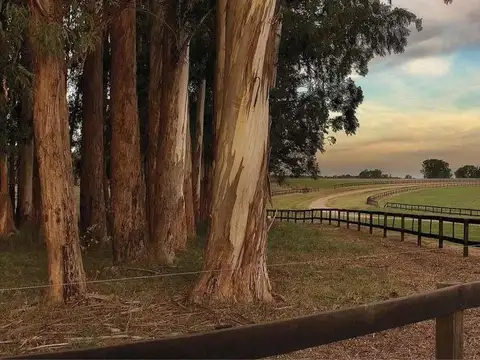 Terreno en Venta en Baradero, USD 72.000