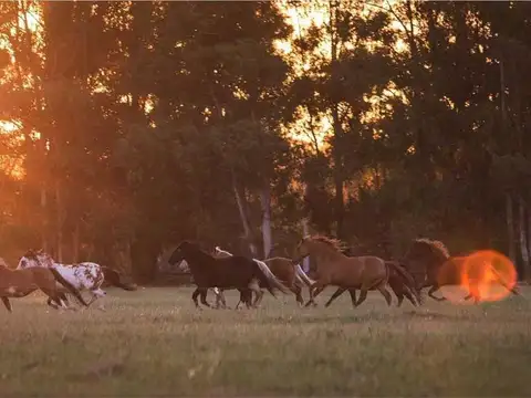 Quebradas Villa Rural