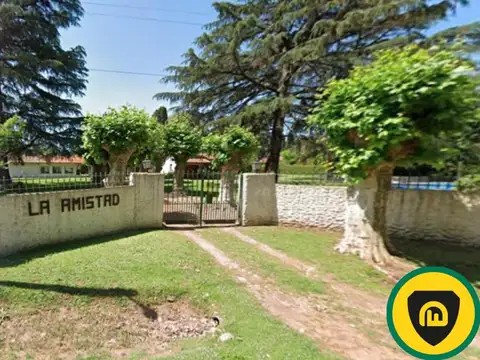 TOMAS ESPORA al 1000